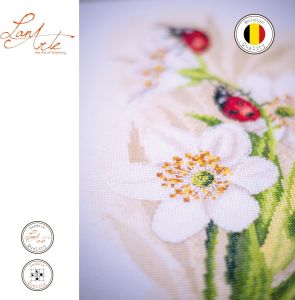 pn-0190657 - Показ божьих коровок