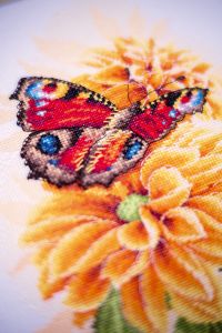 pn-0190703 - Порхающая бабочка