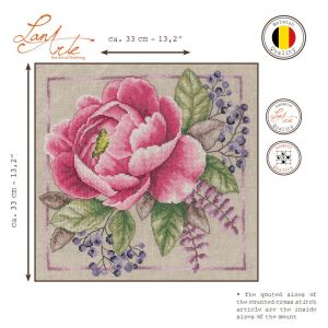 pn-0199792 - Цветущие румяна