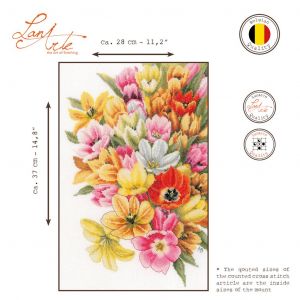 pn-0202674 - Укрой меня тюльпанами