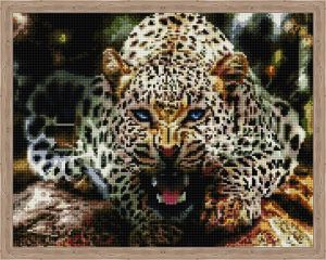 qa200528 - Рычащий леопард