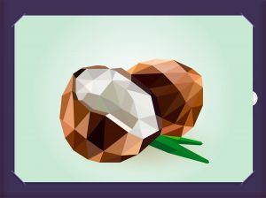 RSNP-0006 - Спелый кокос