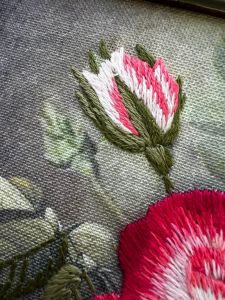 рт-0105 - Роза пышная