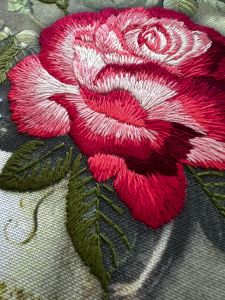 рт-0105 - Роза пышная