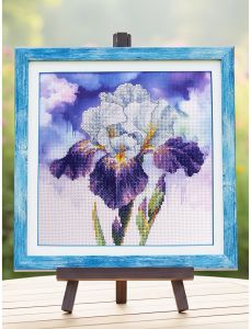 рт-0107 - Цветение ириса