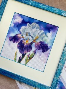 рт-0107 - Цветение ириса