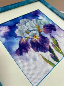 рт-0107 - Цветение ириса