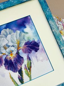 рт-0107 - Цветение ириса