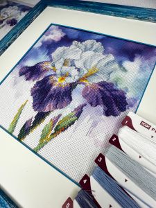 рт-0107 - Цветение ириса