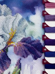 рт-0107 - Цветение ириса