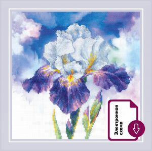 рт-0107 - Цветение ириса