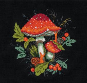 рт-0109 - Мухомор необыкновенный