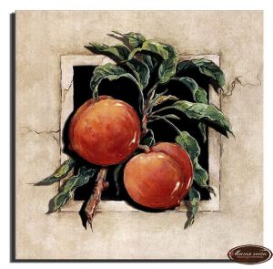 РТ150029 - Спелые абрикосы