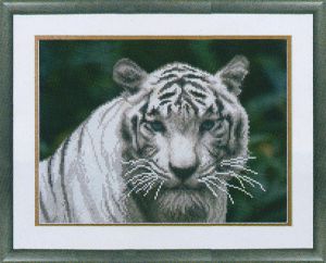 СБ-145 - Белый тигр
