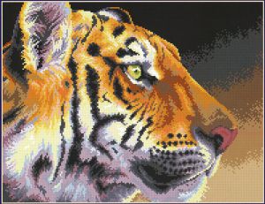 t005 - Королевский тигр