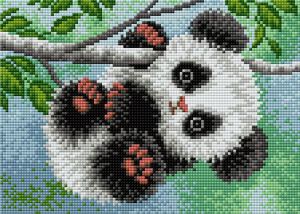 V-107 - Малыш панда