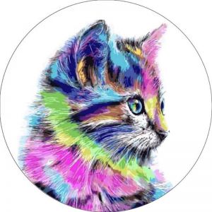 vc006 - Разноцветная кошка
