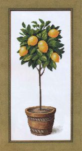 ВТ-075 - Лимонное дерево