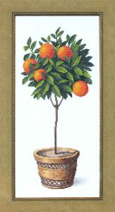 ВТ-127 - Апельсиновое дерево