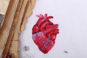 ЖК-2195 - Анатомическое сердце