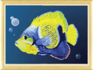 СБ-057 - Яркая рыбка