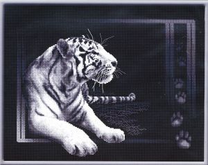 ж-0277 - Белый тигр