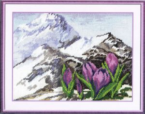 ц-0952 - Альпийские цветы