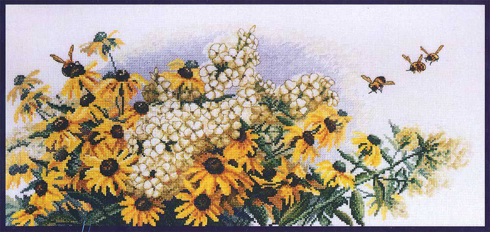 Рудбекия и Флоксы