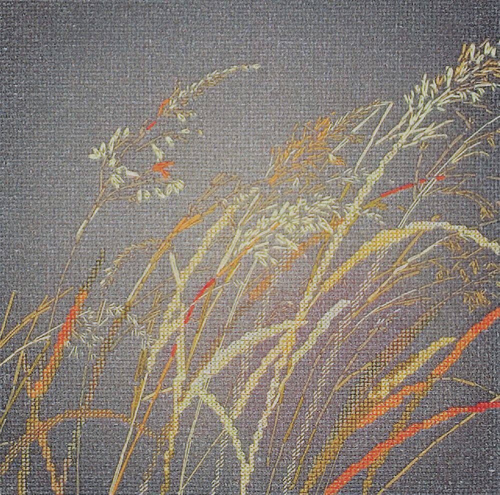 Купить Вышивку Сухие Травы