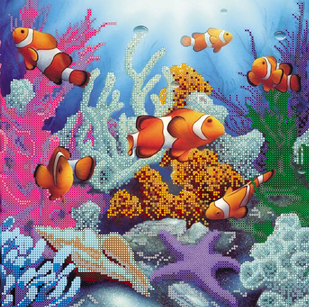 Морские Глубины Фото Морские Глубины Фото