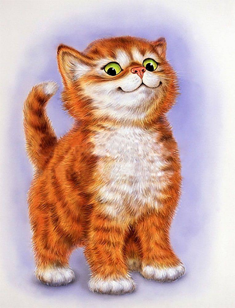 Рисунок рыжего котика