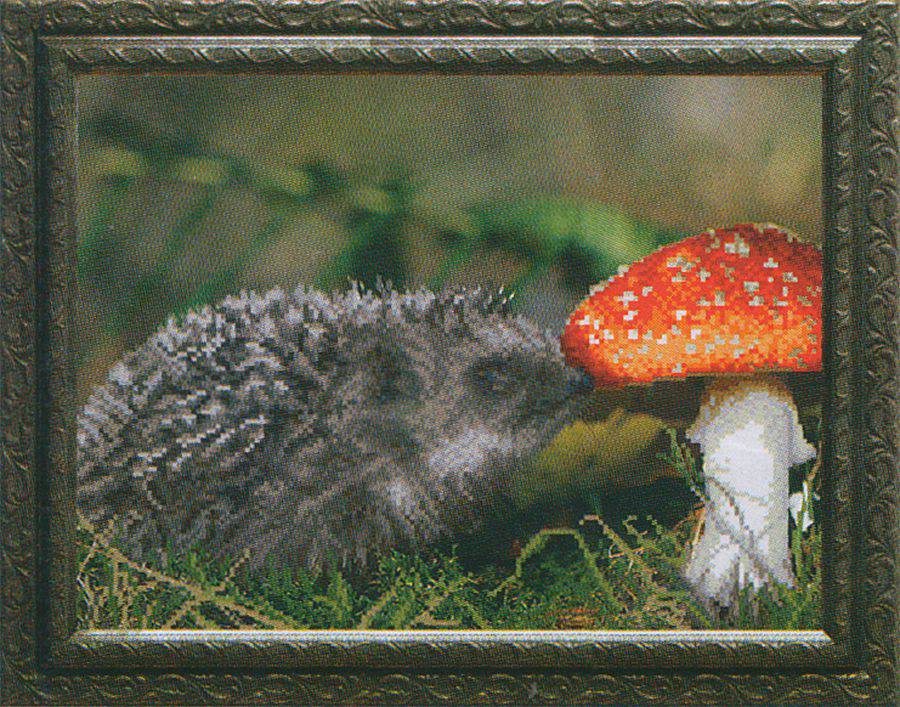 Ежик несет грибы картинки