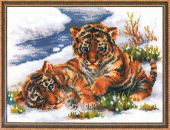 Тигрята в снегу