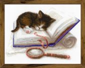 Котёнок на книжке