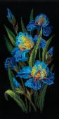 Роскошные ирисы