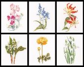 Шесть цветочных исследований