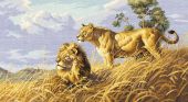 Львы в саванне