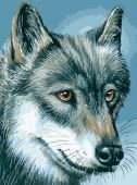 Серый волк (Уценка)