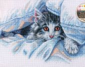 Кошачий уют