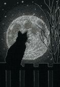 Лунная черная кошка