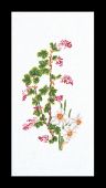 Цветы смородины-Нарцисс