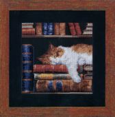 Кошка спящая на книжной полке