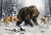 Лайки и медведь