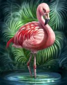 Тропический фламинго
