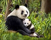 Мама панда