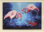 Фламинго на озере