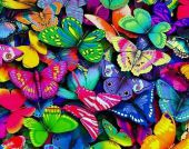Разноцветные бабочки  