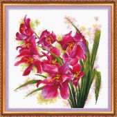 Лиловые орхидеи