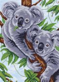 Две коалы