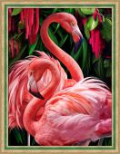 Пара фламинго